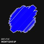 Artwork for "Won't Give Up"