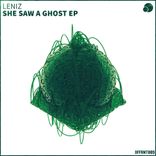 Artwork for "She Saw A Ghost EP"