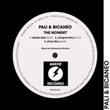 Artwork for "The Moment"