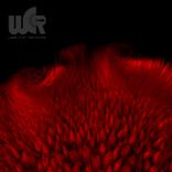 Just Ask (Lenny Middles vs. Moodymanc)