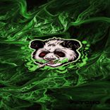 Artwork for "Jungle"