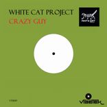 Artwork for "Crazy Guy"