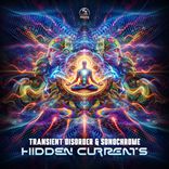 Portada para "Hidden Currents"