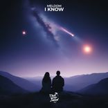 Artwork voor "I Know"