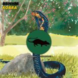 Artwork for "Kobra"