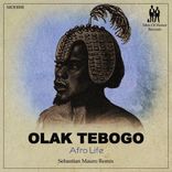 Artwork for "Afro Life (Sebastian Mauro Remix)"