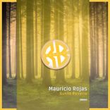 Sunlit Reverie (Radio Edit)