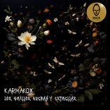 Artwork for "Los Grillos Queman y Estrellas"