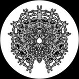 Artwork for "Mutable Minds V"