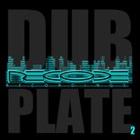 Artwork voor "Rinse Out (Dj Assassin Remix)"