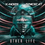Artwork voor "Other Life"
