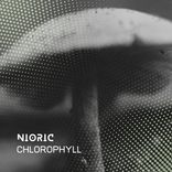 Artwork für "Chlorophyll"