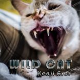 Artwork for "Wild Cat"