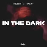 Artwork für "In The Dark"