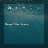 Aquasonic