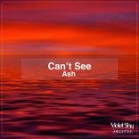 Artwork for "Can't See"