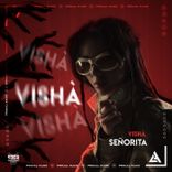 Artwork für "Señorita"