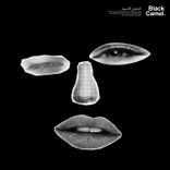 Portada para "Sexy B"