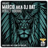 Artwork voor "Perfect Morning"