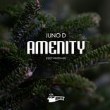 Portada para "Amenity"
