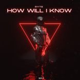 Artwork for "How Will I Know"