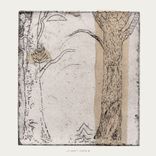 Artwork for "Drink Wisdom"