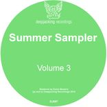 Artwork voor "Summer Sampler, Vol. 3"