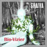 Artwork for "Bio-Vizier"