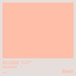 Artwork for "Mesoamerica"