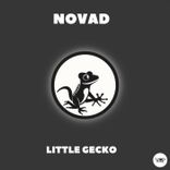 Artwork voor "Little Gecko"