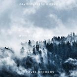 Artwork for "With the Lights Out"