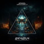 Artwork voor "Dragonfly"