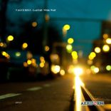 Portada para "White Wolf"