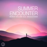 Summer Encounter