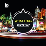 Artwork for "What I Feel"