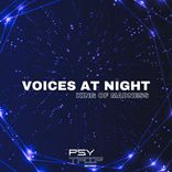 Voices At Night