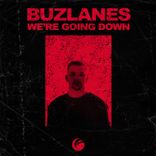 Artwork for "We're Going Down"