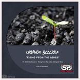 Rising From The Ashes