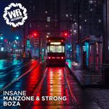 Artwork for "Insane"