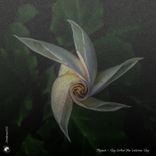 Artwork for "Say What You Wanna Say"