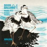 Artwork for "Bekool Brilliants 04"