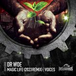 Artwork für "Magic Life (2023 Remix) / Voices"