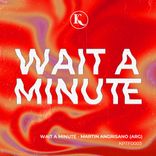 Artwork voor "Wait a Minute"