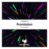 Artwork for "Promission"