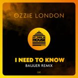 Artwork für "I Need To Know (Bauuer Remix)"