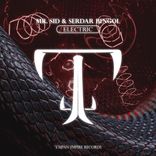 Portada para "Electric"