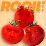 Portada para "Rooie Boys"