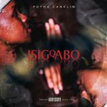 Artwork für "isigqabo"