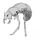 Artwork für "Hive Mind Mentality EP"