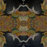 Artwork for "Lux or Life"